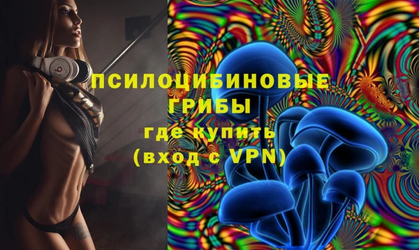 ALPHA PVP Бородино